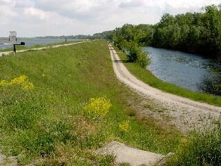 Am Rhein