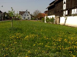 Die Gartenseite