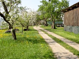 Der Gartenweg